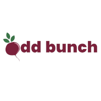 Odd Bunch Canada